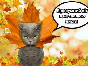 Сезон паління листя розпочато: чим нам це загрожує?