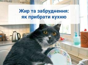 Жир та забруднення: як прибрати кухню